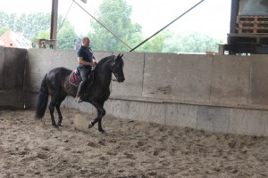 IMG_1781