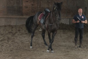 IMG_1805