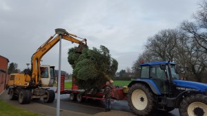 Sapin Noël 2015 1