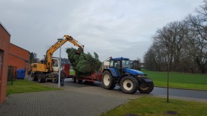 Sapin Noël 2015 3